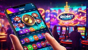 Overview of 12 apk platform sections including sports casino and mobile access